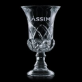 Hampshire Crystal Trophy (10")